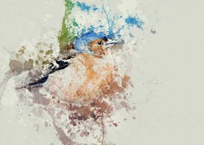 Aquarellmalerei – Vögel – leicht und lebendig